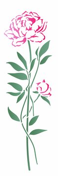 Stencil 10X30 Simples – Flor Peônia Aquarela – OPA3532