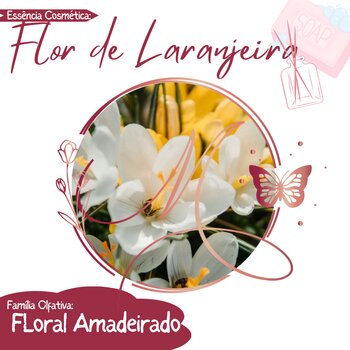 Essência Cosmética 100ml - Flor de Laranjeira