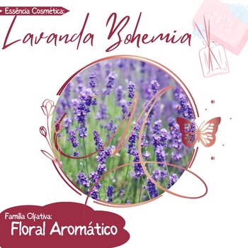 Essência Cosmética 100ml - Lavanda Bohemia