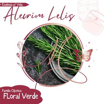 Essência para Vela 100ml - Alecrim Lelis