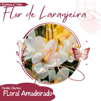 Essência para Vela 100ml - Flor de Laranjeira